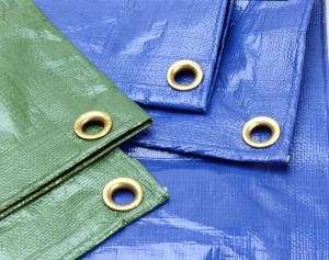 Tarp